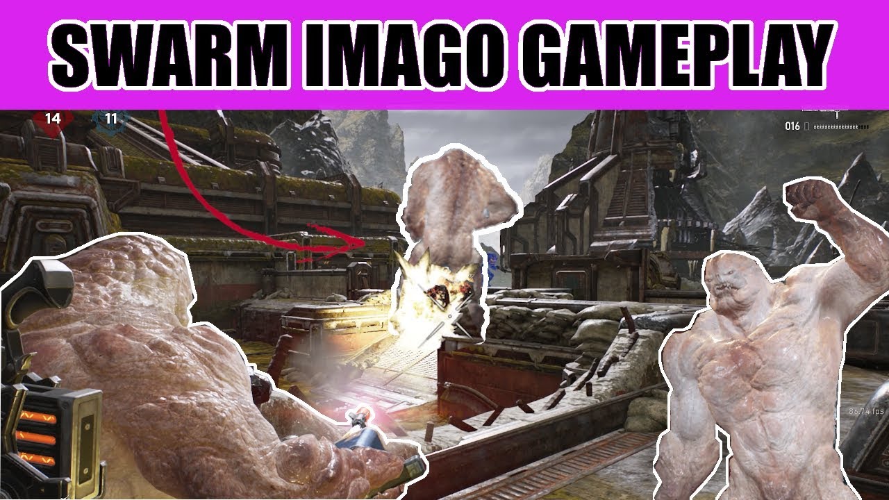 GEARS 5 MULTIPLAYER GAMEPLAY - SWARM IMAGO RANKED TEAM DEATH MATCH