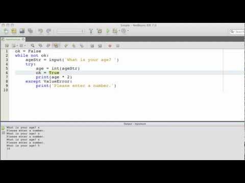 Using Python's Input Function with Numbers
