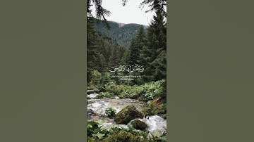 ✨️تلاوة خاشعة✨️ #تلاوة_خاشعة #المصحف #القرآن_الكريم #راحة_نفسية_وطمأنينة