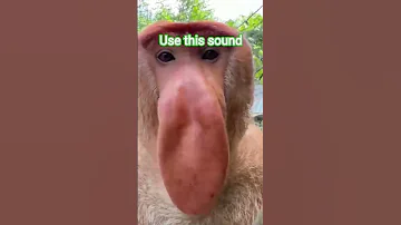 𝕓𝕣𝕣 𝖇𝖗𝖗 𝘱𝘢𝘵𝘢𝘵𝘪𝘮 