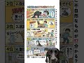 大型犬飼い主のリアルな悩みランキング