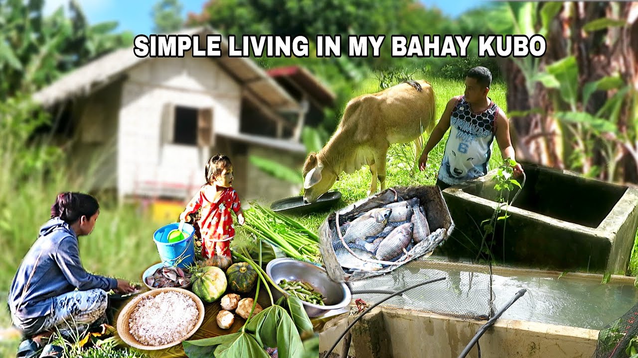 OUR WAY OF LIFE IN MY BAHAY KUBO: Fresh Tilapia, Gabi, Squash, String beans & Spices ~Cooking