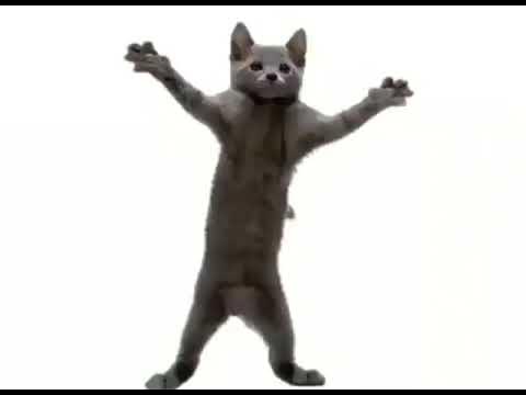 Dip da dee da dee dee doh doh cat - YouTube