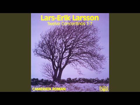 Horn Concertino, Op. 45, No. 5: I. Allegro moderato