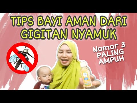 Video: Bagaimana Menjaga Bayi Anda Aman Dari Nyamuk