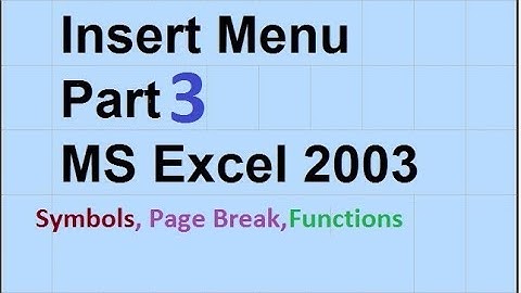 14- How to Use The Insert Menu In Ms Excel 2003 - in Urdu/Hindi - Part 3- Lunar Computer College
