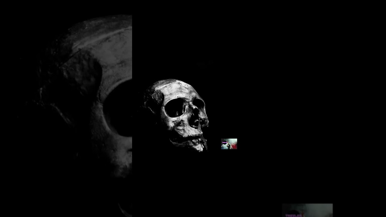 HORROR BELL |TRANSITION | TRIZZLER|