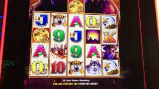 Free Games - Buffalo Bonus - Aristocrat
