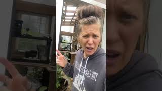 Most People Toss Their Coffee Grounds But We Use Ours To Keep Ants Out Of The Greenhouse And Around