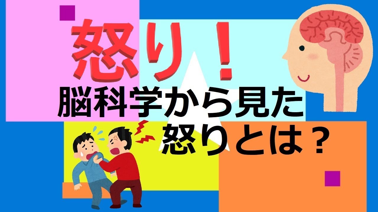 【らひた】脳科学から見た怒りとは?怒りの脳科学的メカニズムと感情調節の方法 - YouTube
