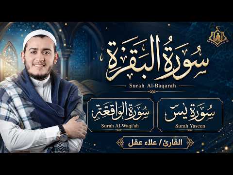 سورة البقرة، يس، الواقعة رقية للبيت وعلاج للسحر تلاوة تريح القلب وتشرح الصدر - علاء عقل Surah Baqara