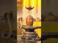 The Universe in his eyes, infinity in his soul. 🌌🔱 Jai Bholenath! 🚩#MahadevStatus #Shiva#Trending