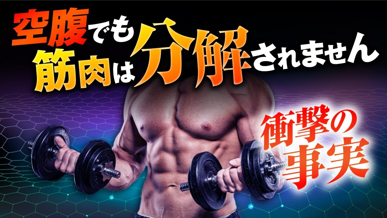 【衝撃の事実】空腹でも筋肉は分解されない科学的な理由【空腹時の筋トレはありなのか？】