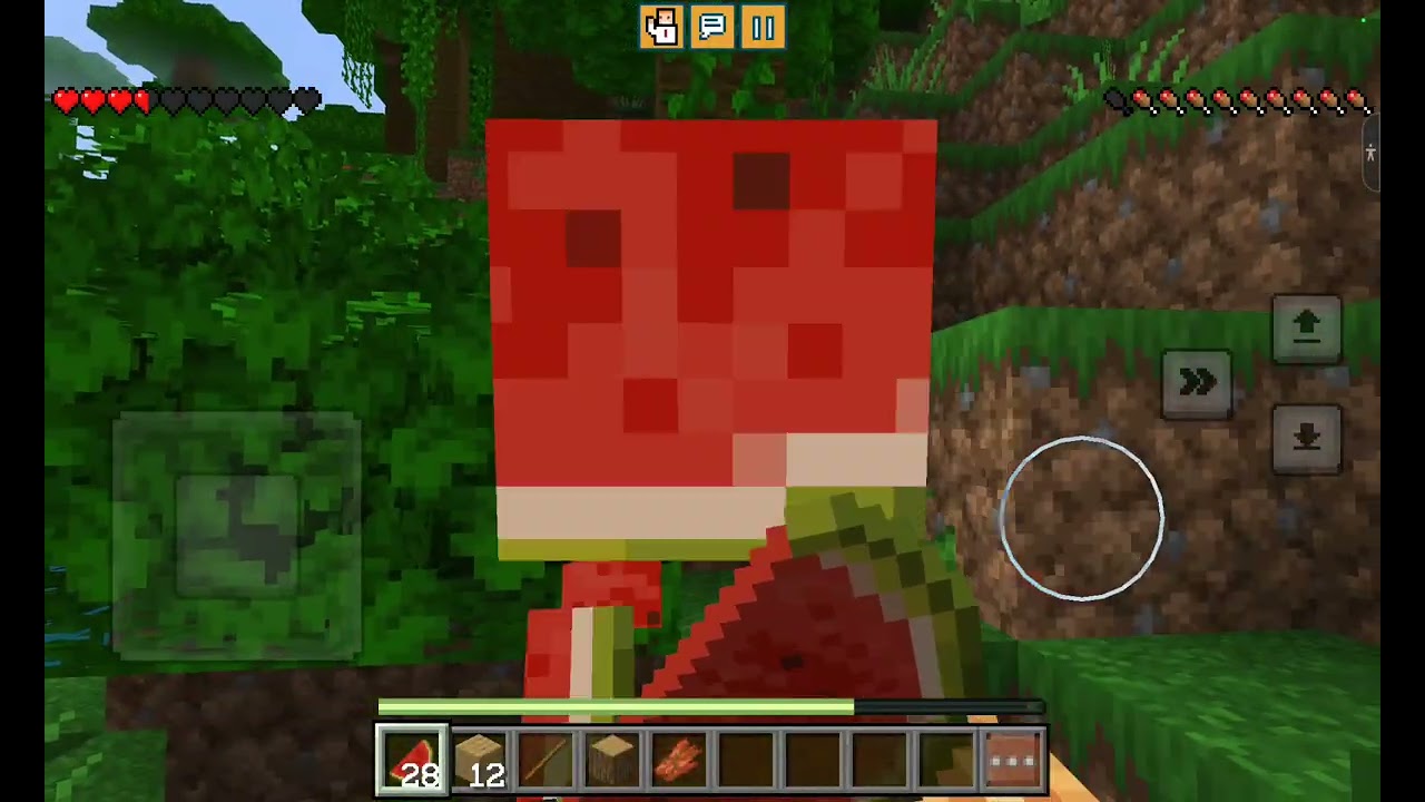 Jugando minecraft por primera vez