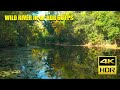 ДИКА РІКА В 4K HDR 60 FPS ULTRA HD В УКРАЇНІ ЗАПОРІЖЖЯ 