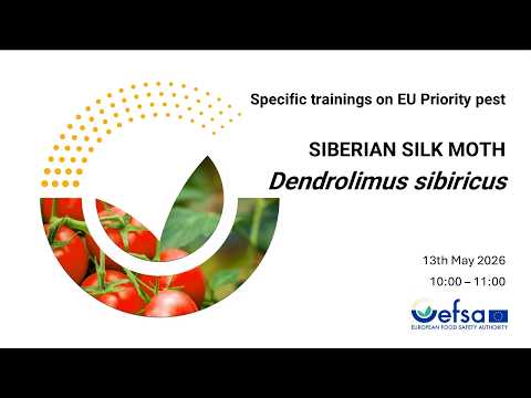 ES Statistically sound survey of Dendrolimus sibiricus - Spanish subtitles