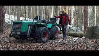 Forstarbeiten 2021,Holzrücken und Baum fällen mit der Seilwinde