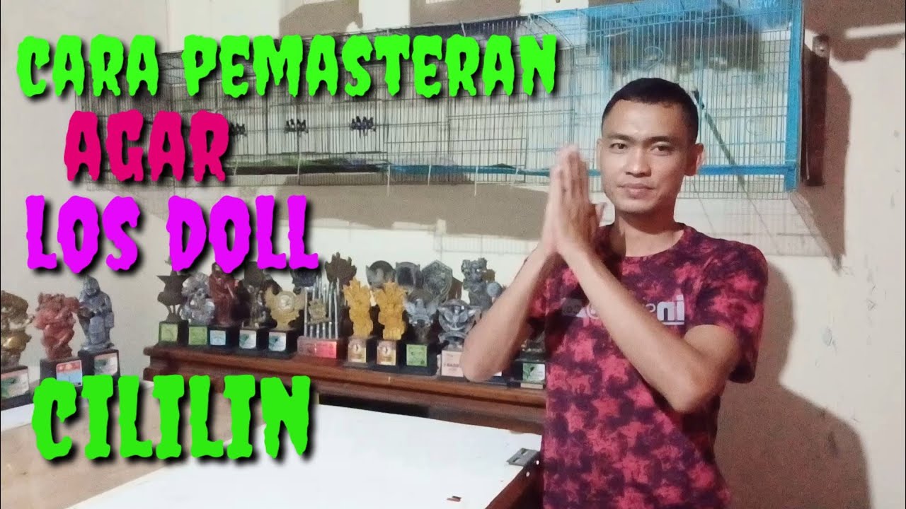 CARA PEMASTERAN DI JAMIN MASUK CILILIN