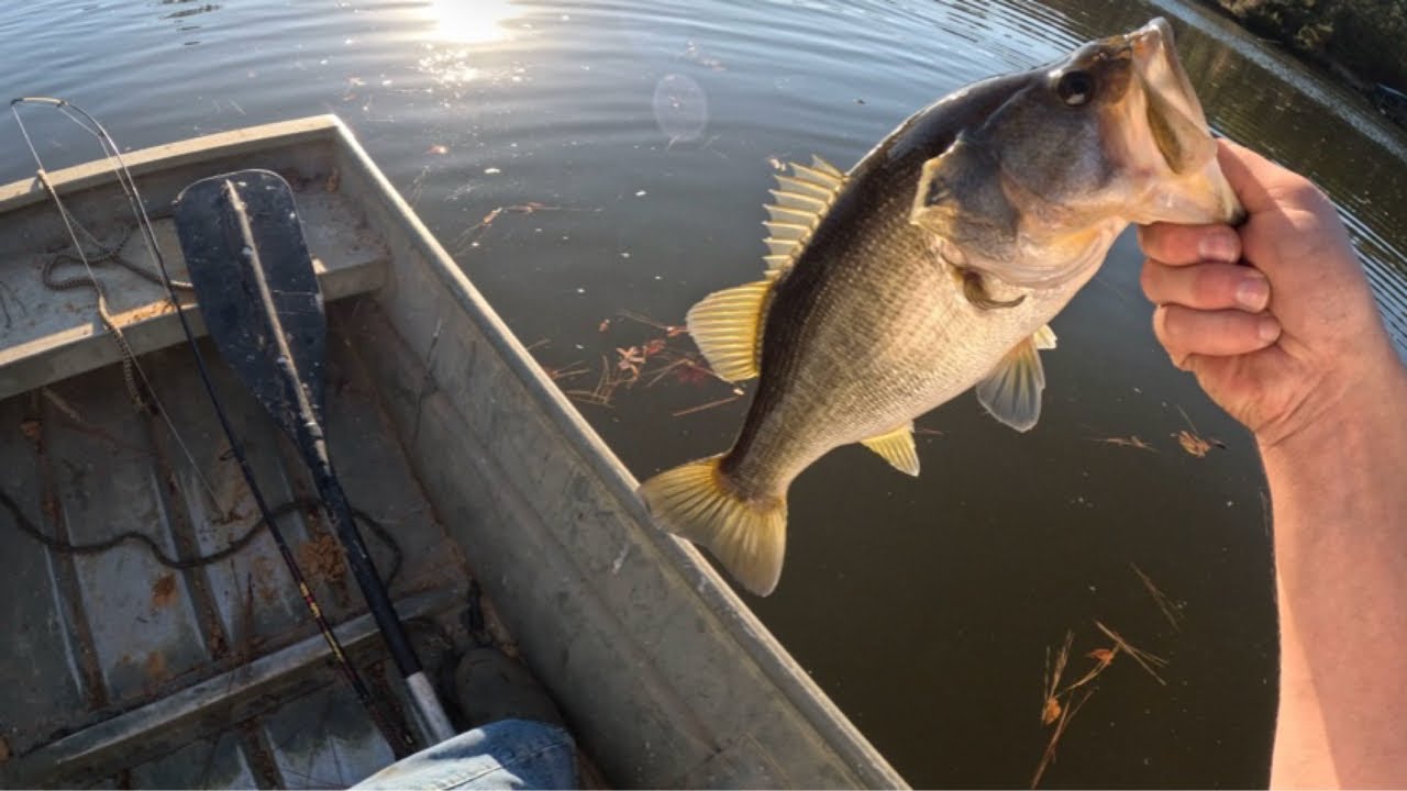 November Bass Fishing in a lake deep in the woods!!