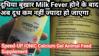 Farm Talk दूधिया बुख़ार milk fever होने पर दूध घटेगा नहीं बढ़ेगा SPEED-UP Calcium gel Natural Remedies