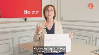 WOAH Director General Answers Most Google Question on Rabies