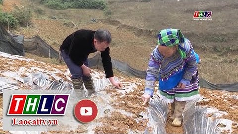 Phát triển đội ngũ cán bộ người dân tộc thiểu số | THLC