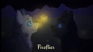 ~ Fireflies ~ [Warrior cats]
