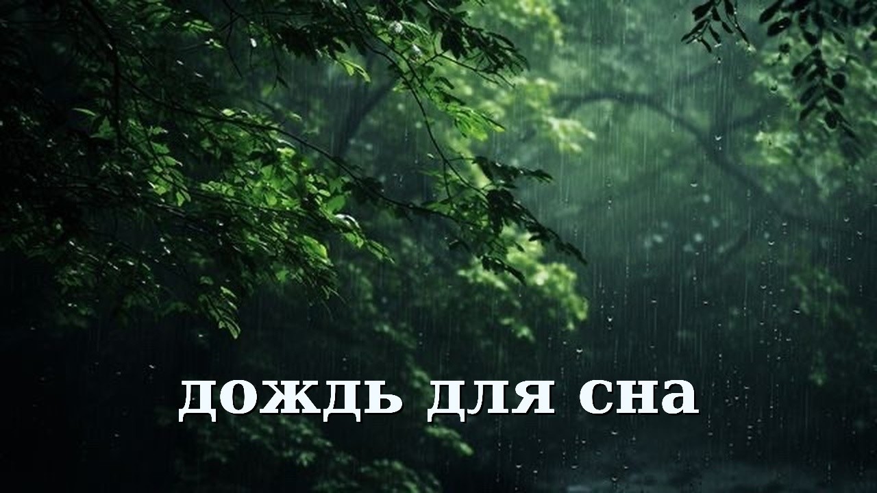 ЗВУК ДОЖДЯ | ЗАСЫПАЙ ПОД ДОЖДЬ