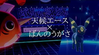 アズマオウ Youtube