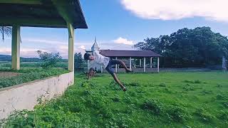 Assam. Parkour Best Flips By Bodoland Boy