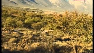 Teletubbies Safari Con Gli Animali