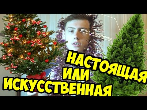 ЧТО ЛУЧШЕ НАСТОЯЩАЯ ИЛИ ИСКУССТВЕННАЯ ЕЛКА?