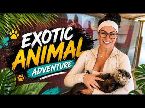 Swimming with Baby Otters & Holding Sloths! (Animal Adventures)
