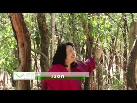 Aromaterapia - Sandalo - Lydia Bosson