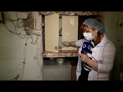 თბილისი:  პურის საცხობი ყოფილ აბანოში; საშაურმე ვარკეთილის მეტროსთან; ლუდის ბარი.