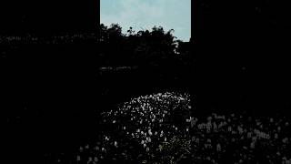 #greenworld #nature #sweetsong #love #unfrezzmyaccount #green