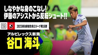 【谷口 海斗（アルビレックス新潟）】伊藤涼太郎のキラーパスを、しなやか身のこなしで反転シュート！｜2023明治安田生命J1第16節 湘南ベルマーレ×アルビレックス新潟