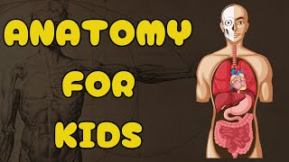 Anatomy for kids | Learn Science for Kids | Human Body | Learn in English