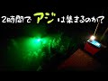 【集魚灯アジング】ポイントは自分で作る時代へ…　光で集めるアジングを検証　ジグ単の釣り