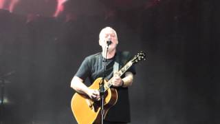 David Gilmour - \