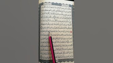 تعليم سورة الزمر من 8 إلى 9