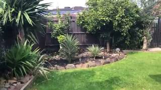 Iphone 8 Plus 4K 24 Fps Test