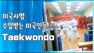 💙신기방기ㅣ미국 어른들이 태권도를 어딘가 어설퍼ㅣTaekwondo Korean Martial Art