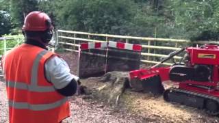 Stump Grinder in Action - Predator 28RX