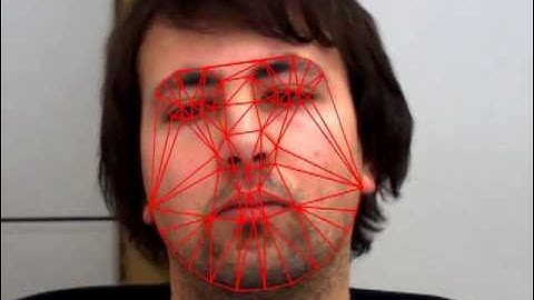 Active Appearance Models (AAM) Project-Out Fitting