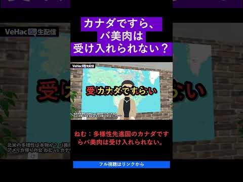 カナダですら、バ美肉は受け入れられない？   北米の多様性は本物か？ バ美肉受け入れられるか アメリカ帰りの女 ねむvsカナダ帰りの女 セイ・クイーン【VeHacQ生配信 #3】