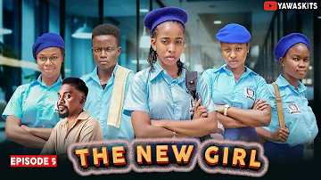 The New Girl - Episode 5, The Framed Job