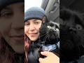 Kitty cat day out in Hamilton! Do you let your cats outside?😳🙊 #cats #catvideos #girlsday #dayout