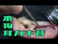 ASMR 本物の耳かき音part12　ステンレス耳掻き使用 Real Ear cleaning Sound/no talking