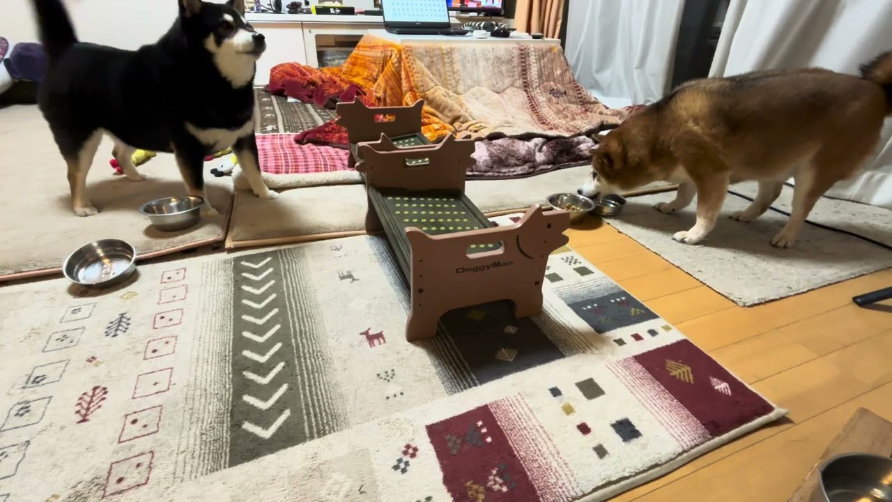 理不尽すぎるｗ 自分の分は食べたのに妹にキレる姉さん💦